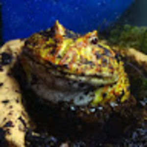 Meet your Posher, Kaitlin